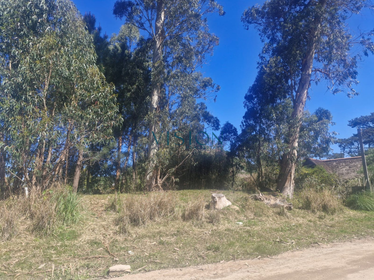 Terreno ID.13 - Terreno 1285m2 Barrio Marly Punta del Este