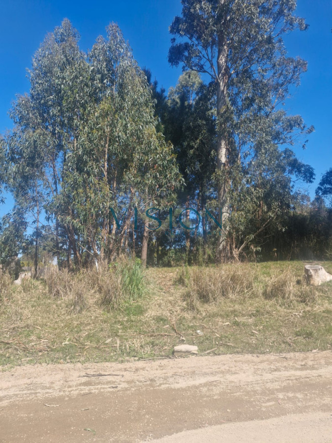 Terreno ID.13 - Terreno 1285m2 Barrio Marly Punta del Este
