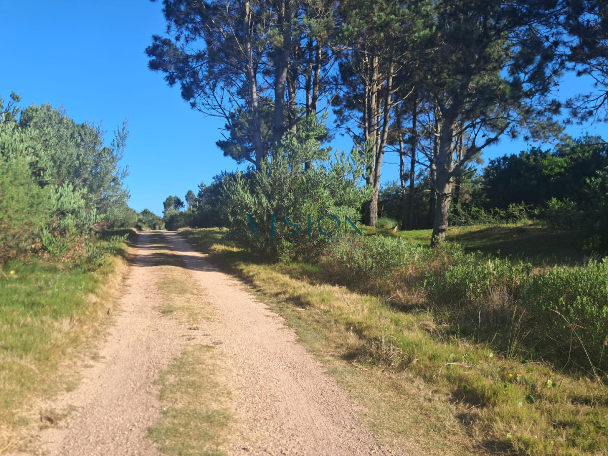 Terreno ID.35 - Lote de terrenos en Punta del Diablo