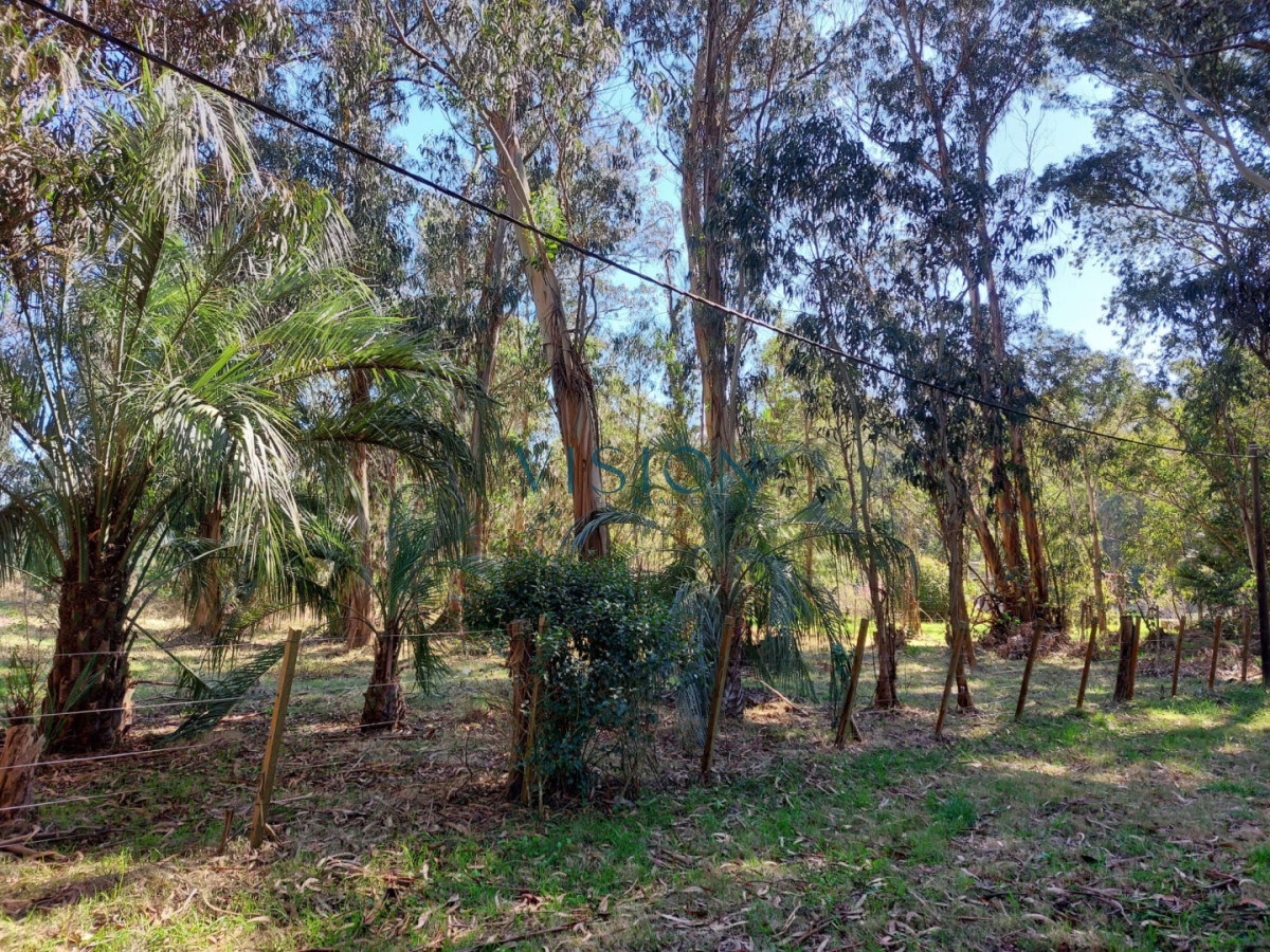 Terreno ID.61 - Chacra La Paloma