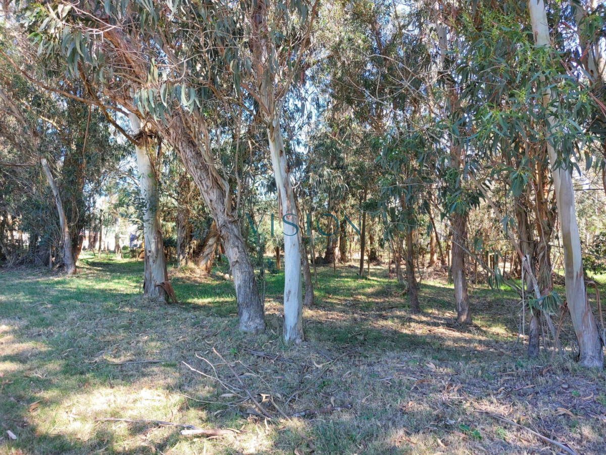Terreno ID.61 - Chacra La Paloma