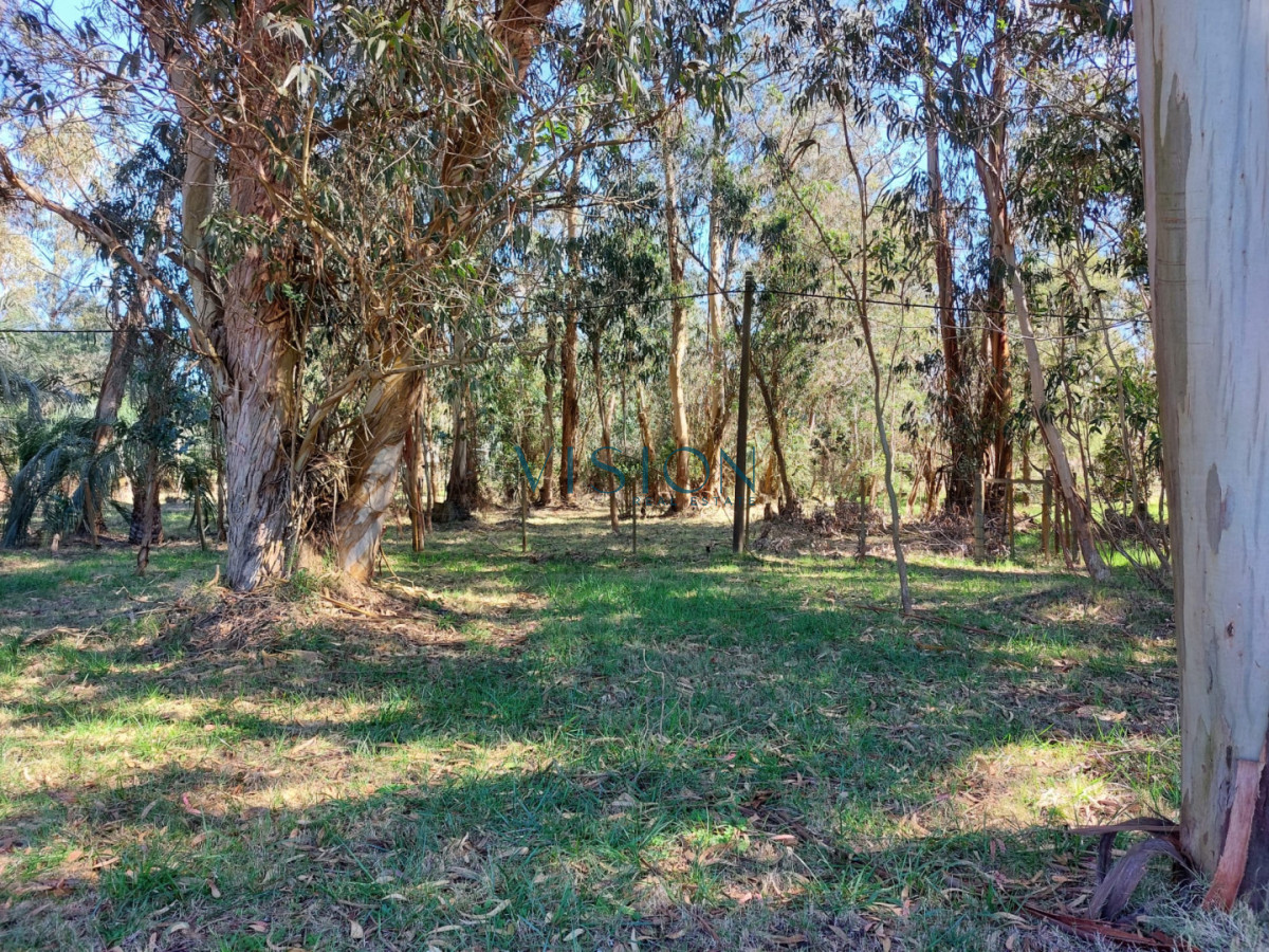 Terreno ID.61 - Chacra La Paloma