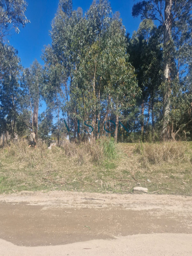 Terreno ID.13 - Terreno 1285m2 Barrio Marly Punta del Este