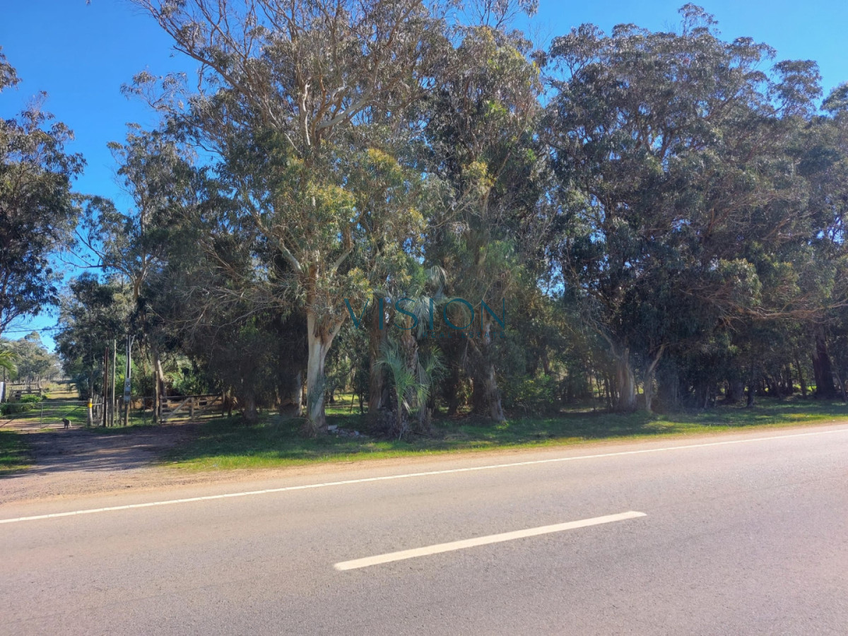 Terreno ID.61 - Chacra La Paloma