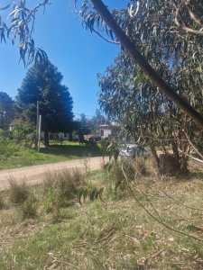 Terreno 1285m2 Barrio Marly Punta del Este