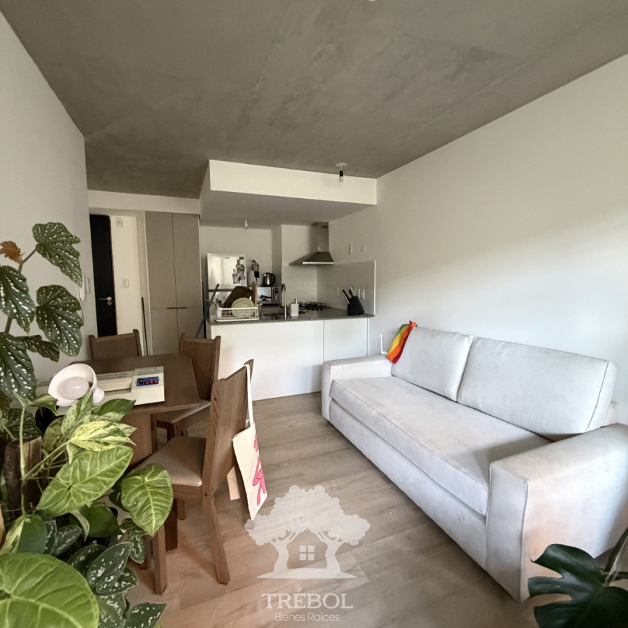 Apartamento ID.240 - Alquiler Apartamento 1 dormitorio Aguada Montevideo G