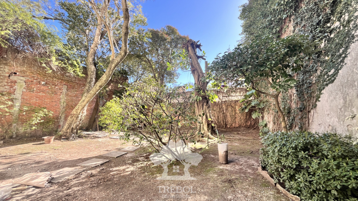 Apartamento ID.262 - Alquiler Apartamento 1 Dormitorios Punta Carretas Montevideo D