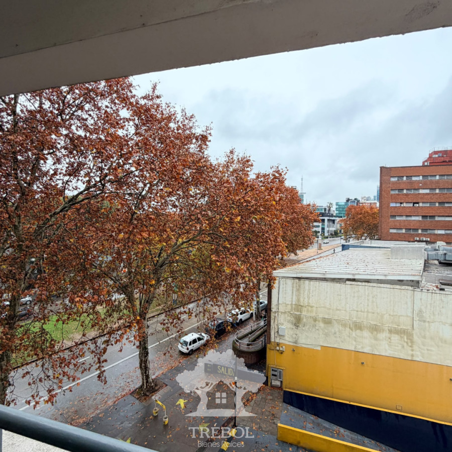 Apartamento ID.323 - Alquiler Apartamento 2 Dormitorios Tres Cruces Montevideo V 