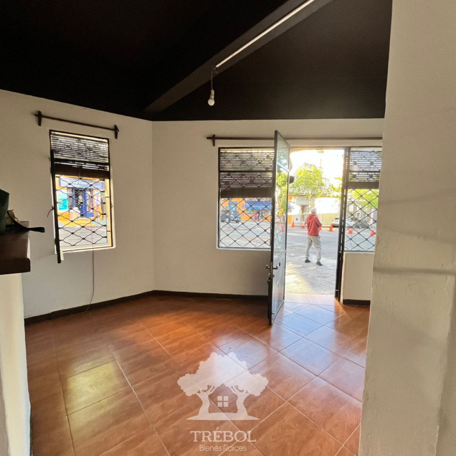 Apartamento ID.87 - Alquiler Apartamento 1 Dormitorio Barrio Sur Montevideo V 