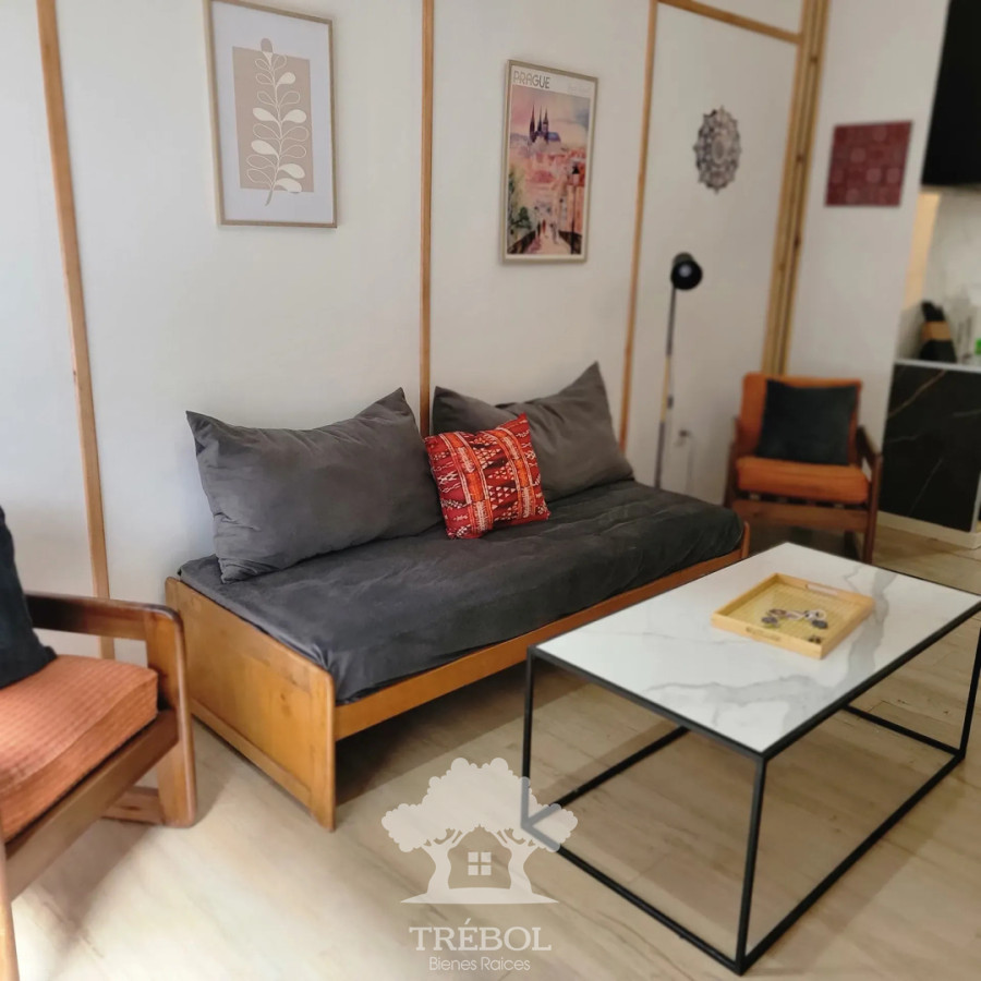 Apartamento ID.268 - Alquiler Apartamento 1 Dormitorios Cordon Montevideo D