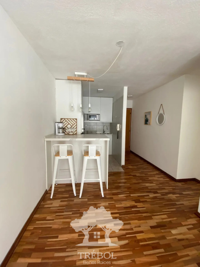 Apartamento ID.254 - Alquiler Apartamento 1 Dormitorios Pocitos Montevideo D
