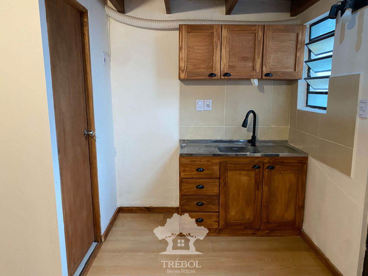 Apartamento ID.165 - Alquiler apartamento 1 dormitorio a estrenar Goes Montevideo B