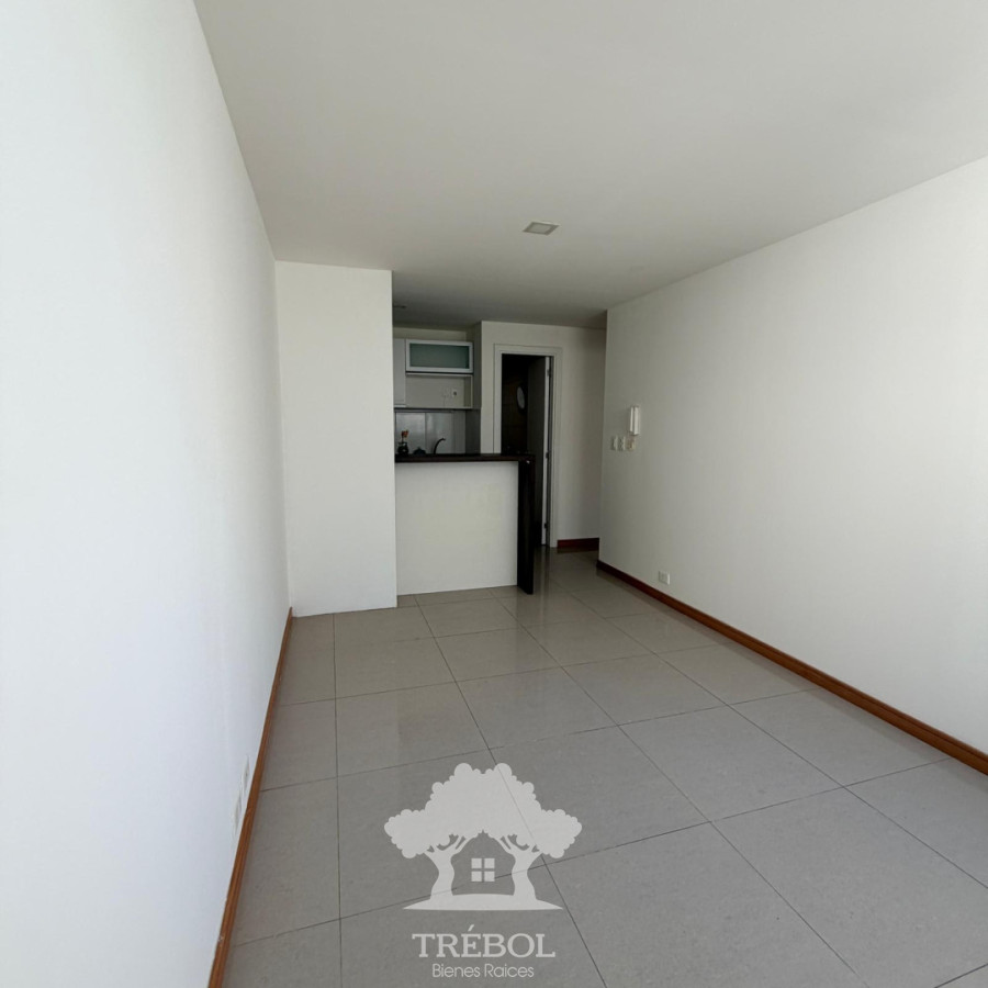 Apartamento ID.439 - Alquiler Apartamento 1 Dormitorios Cordón Montevideo D