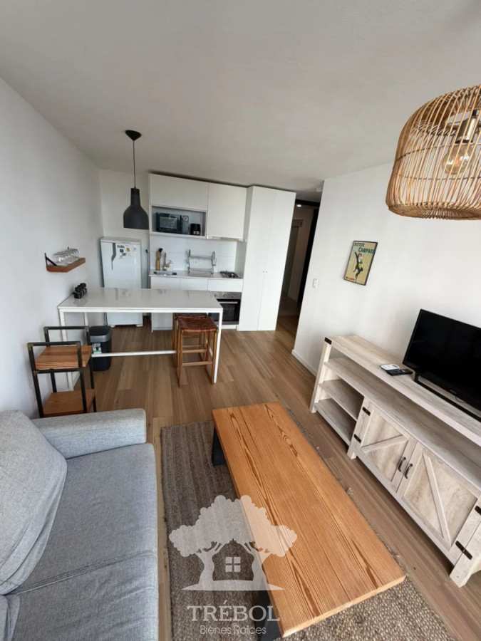 Apartamento ID.377 - Alquiler Apartamento 1 Dormitorios Puertito Montevideo D