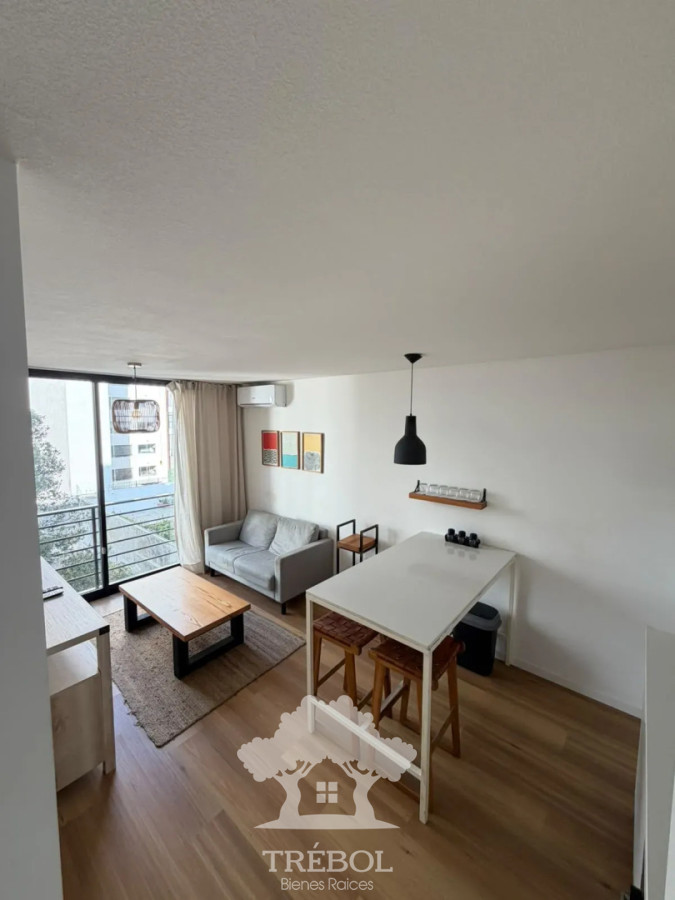 Apartamento ID.377 - Alquiler Apartamento 1 Dormitorios Puertito Montevideo D