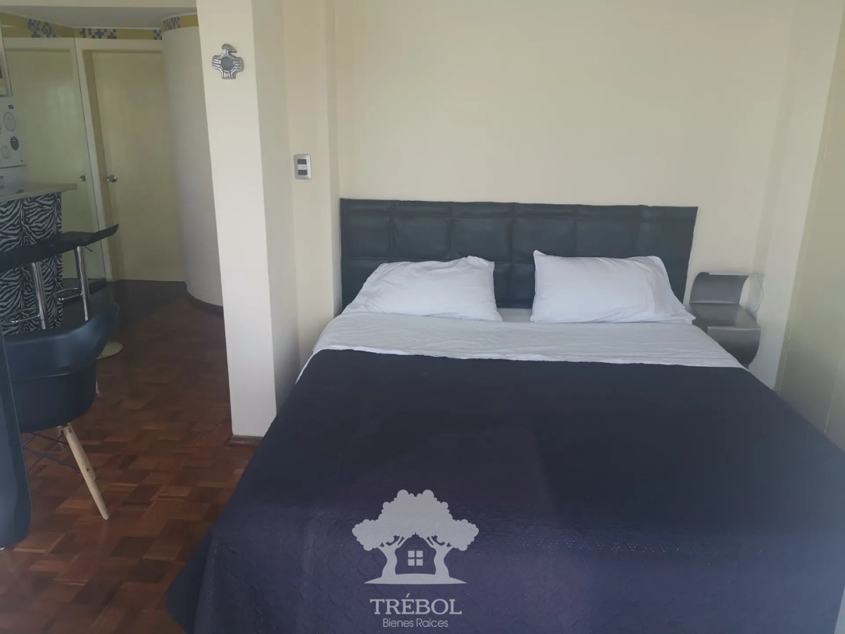 Apartamento ID.295 - Alquiler Apartamento Monoambiente Pocitos Montevideo D