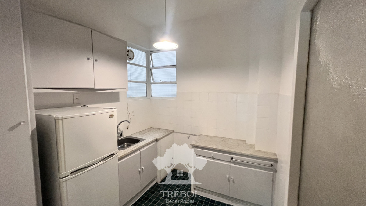 Apartamento ID.262 - Alquiler Apartamento 1 Dormitorios Punta Carretas Montevideo D