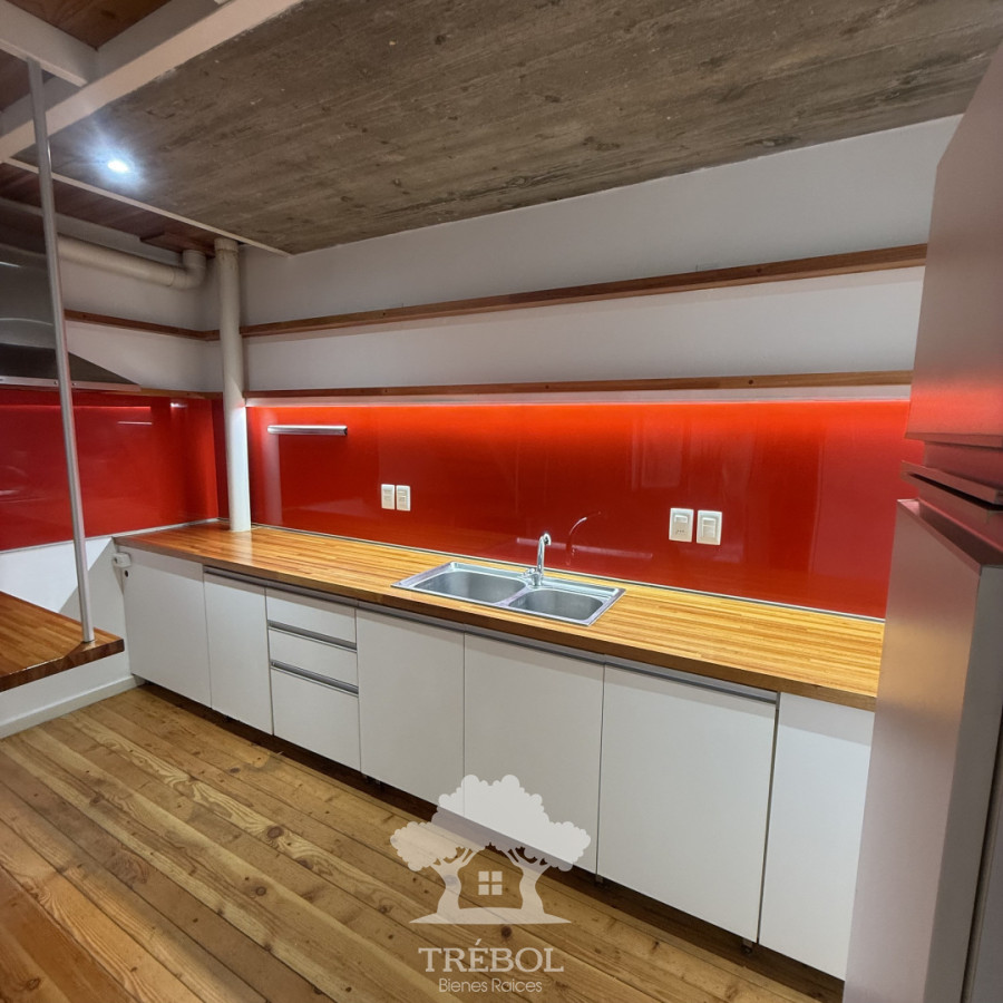 Apartamento ID.237 - Alquiler apartamento triplex Palermo Montevideo B