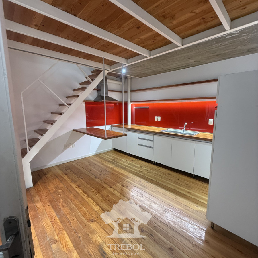 Apartamento ID.237 - Alquiler apartamento triplex Palermo Montevideo B