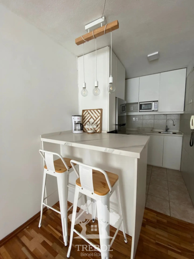 Apartamento ID.254 - Alquiler Apartamento 1 Dormitorios Pocitos Montevideo D