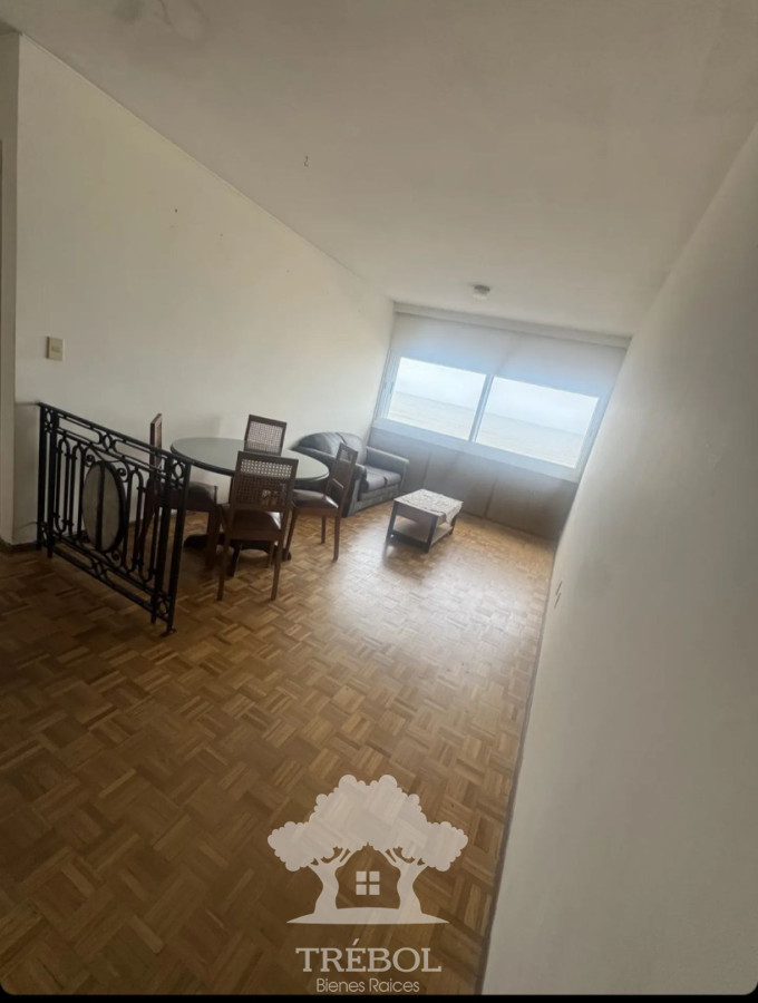 Apartamento ID.207 - Alquiler Apartamento 1 Dormitorio Pocitos Montevideo V 