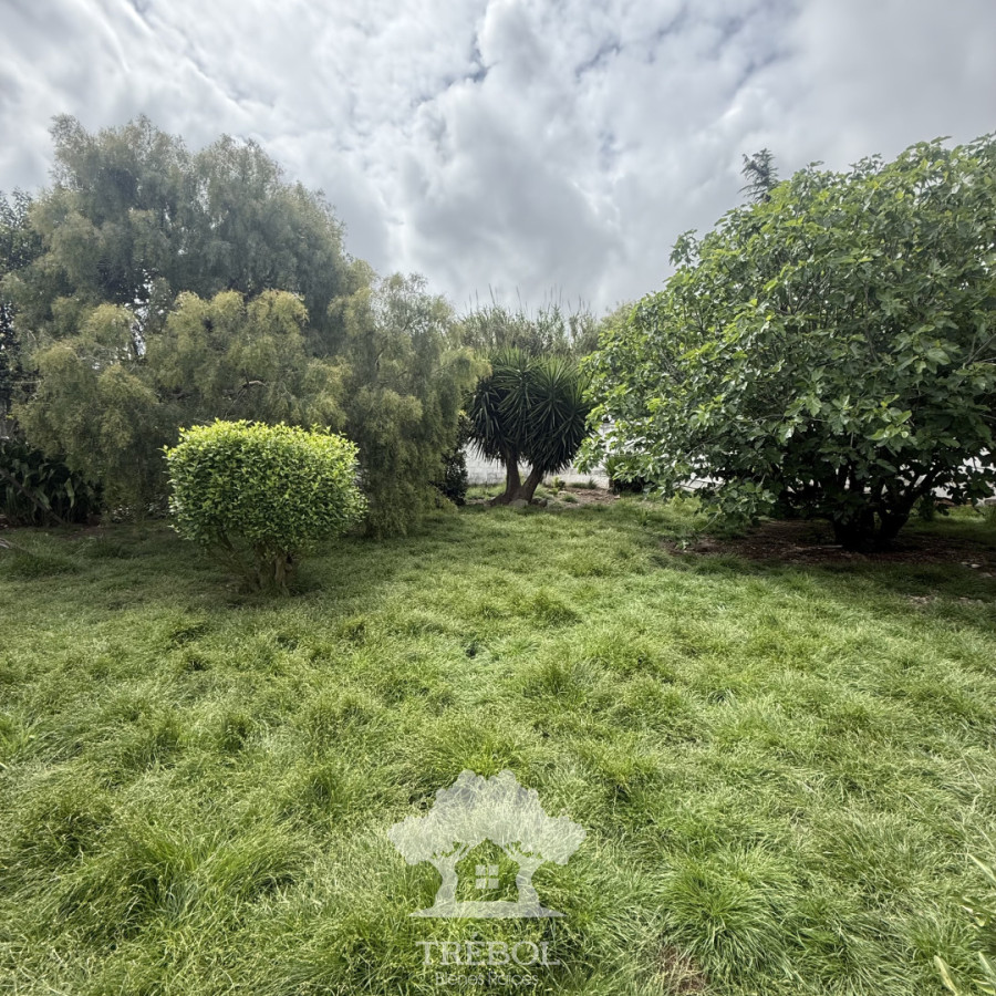 Casa ID.492 - Venta casa 3 dormitorios Nuevo Paris Montevideo B