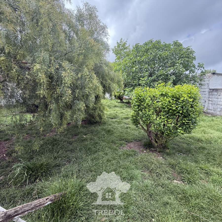 Casa ID.492 - Venta casa 3 dormitorios Nuevo Paris Montevideo B