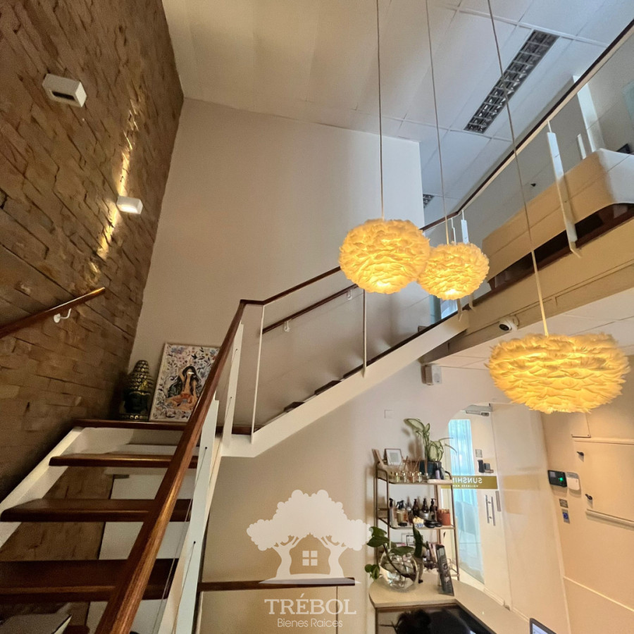 Local Comercial ID.136 - Venta Local Comercial 12 Consultorios Rentado Cordón Montevideo V  