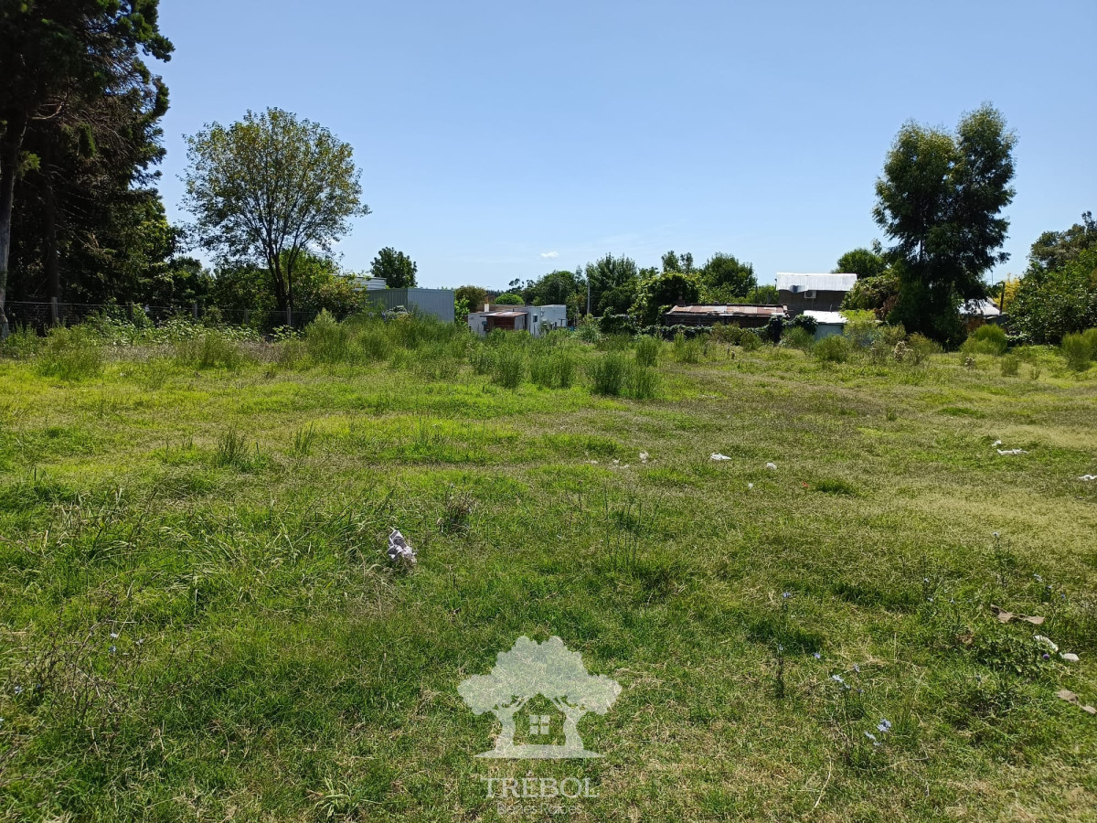 Terreno ID.57 - Venta Terreno 2272m2 Young Rio Negro V 