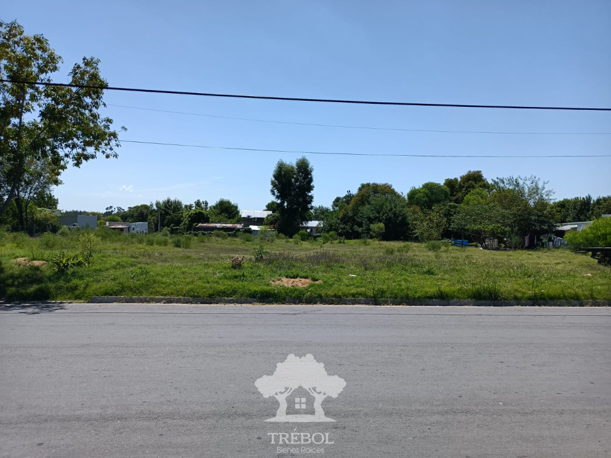 Terreno ID.57 - Venta Terreno 2272m2 Young Rio Negro V 