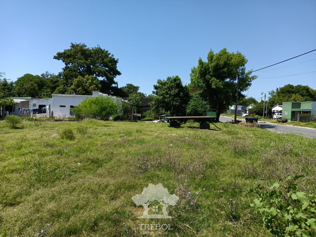 Terreno ID.57 - Venta Terreno 2272m2 Young Rio Negro V 