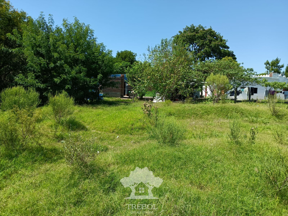 Terreno ID.57 - Venta Terreno 2272m2 Young Rio Negro V 