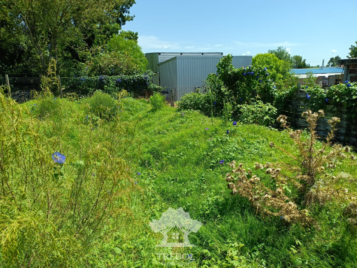 Terreno ID.57 - Venta Terreno 2272m2 Young Rio Negro V 