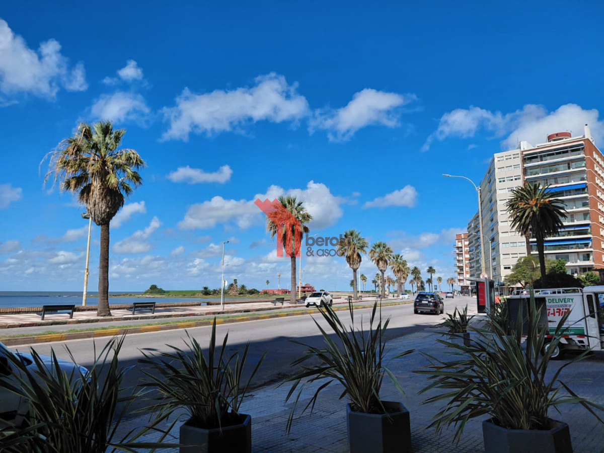 Apartamento ID.199 - Alquiler apartamento 1 dormitorio Pocitos