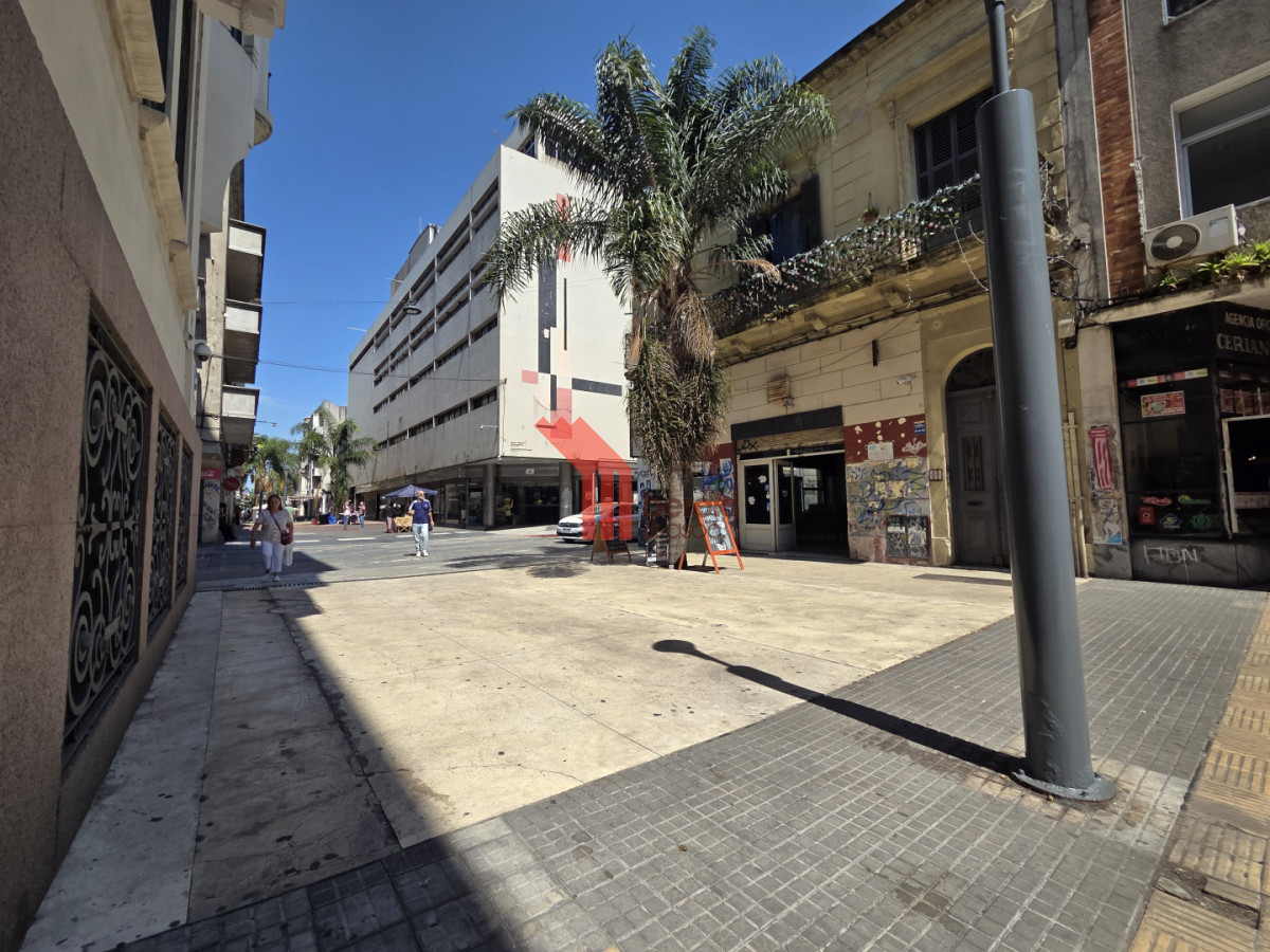 Apartamento ID.137 - Alquiler Apto 1 Dormitorio Peatonal Sarandí Ciudad Vieja Recién Reciclado