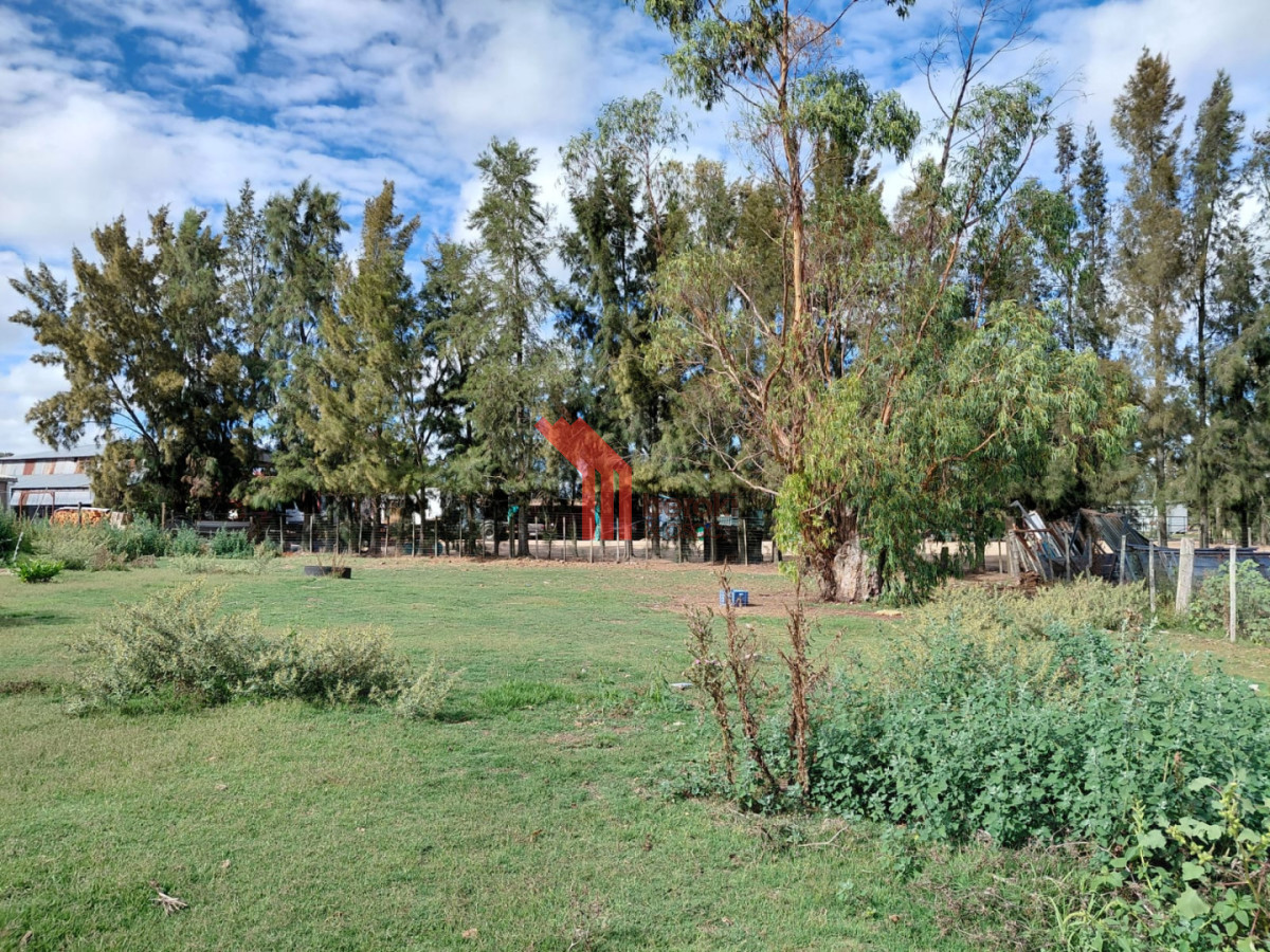 Casa ID.182 - Venta Mendoza Chico, Florida, 2670mt