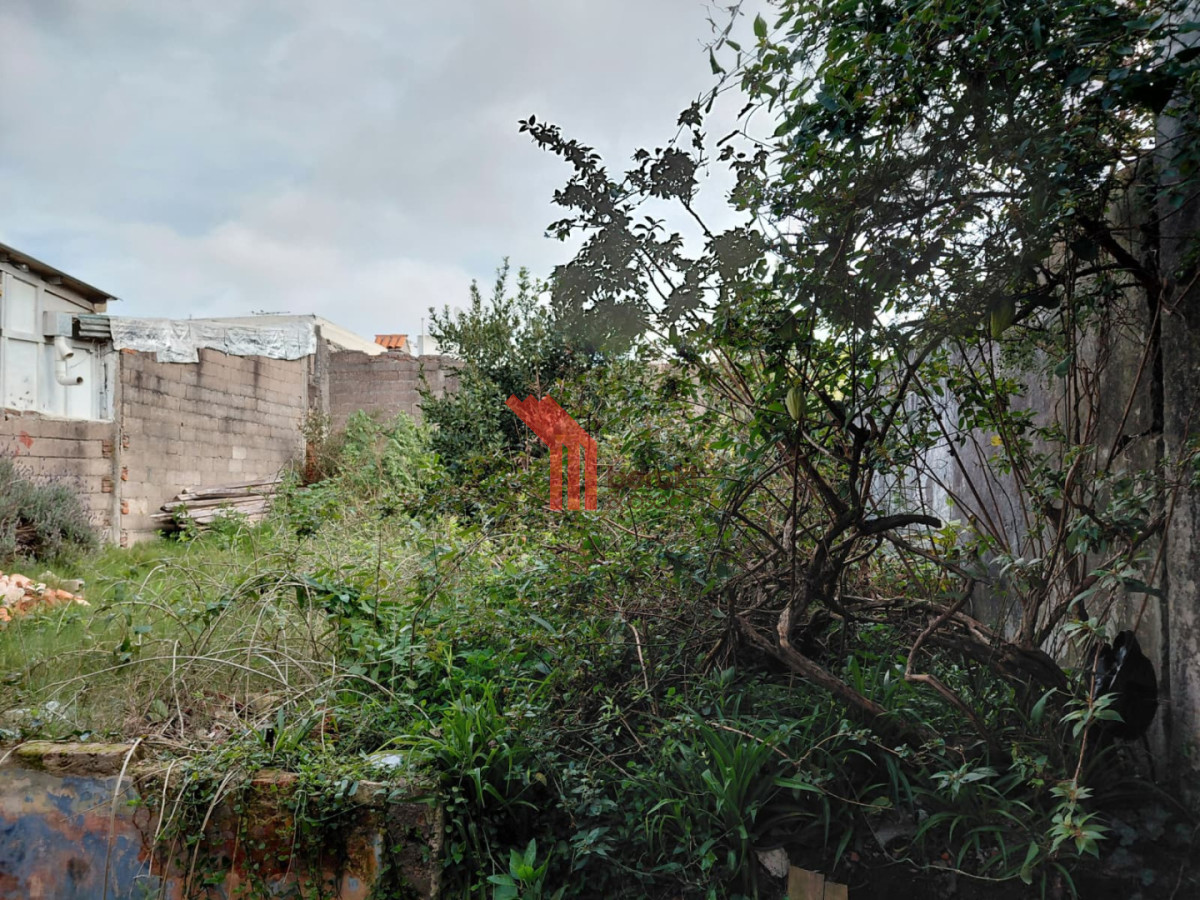 Casa ID.274 - Venta casa o local con reciclaje, padrón único, Paso Molino