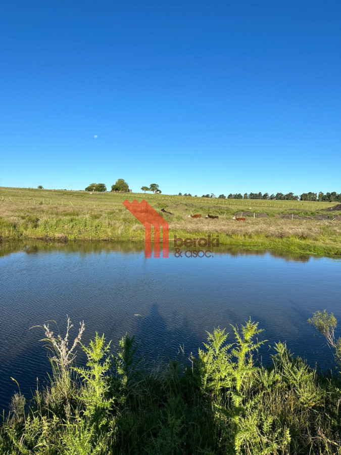 Chacra ID.165 - Venta Chacra 3,5h Migues con casa de 1 dormitorio