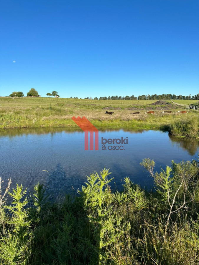 Chacra ID.165 - Venta Chacra 3,5h Migues con casa de 1 dormitorio