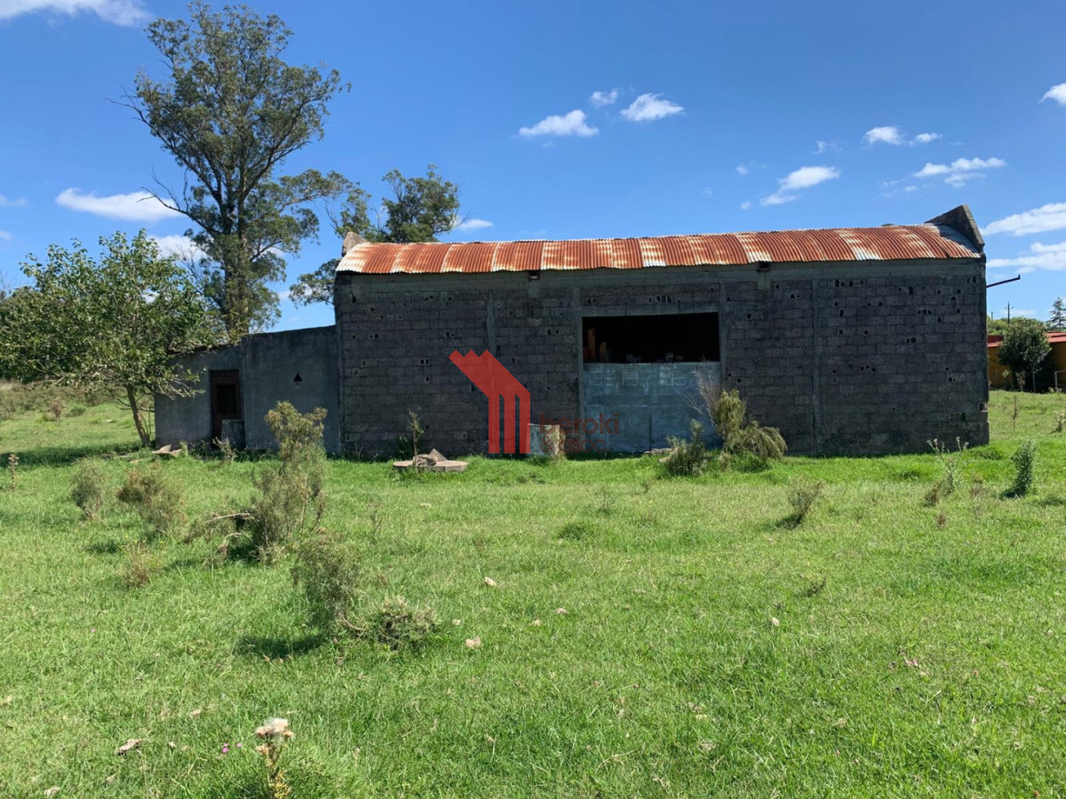 Chacra ID.192 - Venta de chacra productiva Excelente índice CONEAT 193 en Rutas 32 y 68