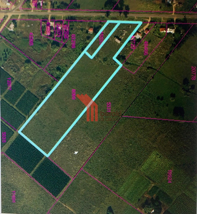 Chacra ID.192 - Venta de chacra productiva Excelente índice CONEAT 193 en Rutas 32 y 68