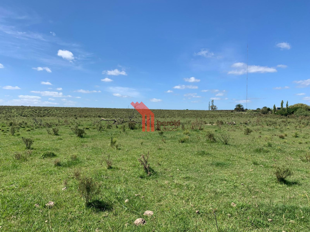 Chacra ID.192 - Venta de chacra productiva Excelente índice CONEAT 193 en Rutas 32 y 68