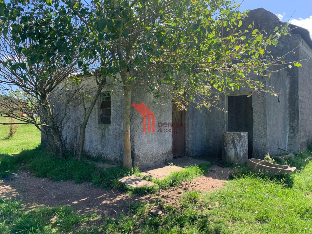 Chacra ID.192 - Venta de chacra productiva Excelente índice CONEAT 193 en Rutas 32 y 68