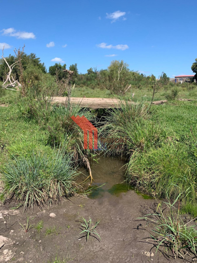 Chacra ID.192 - Venta de chacra productiva Excelente índice CONEAT 193 en Rutas 32 y 68