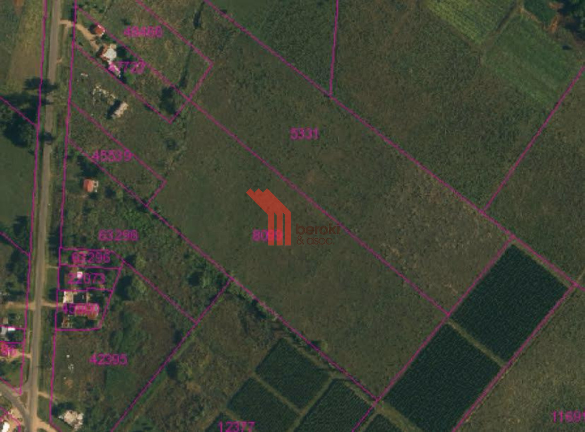 Chacra ID.192 - Venta de chacra productiva Excelente índice CONEAT 193 en Rutas 32 y 68