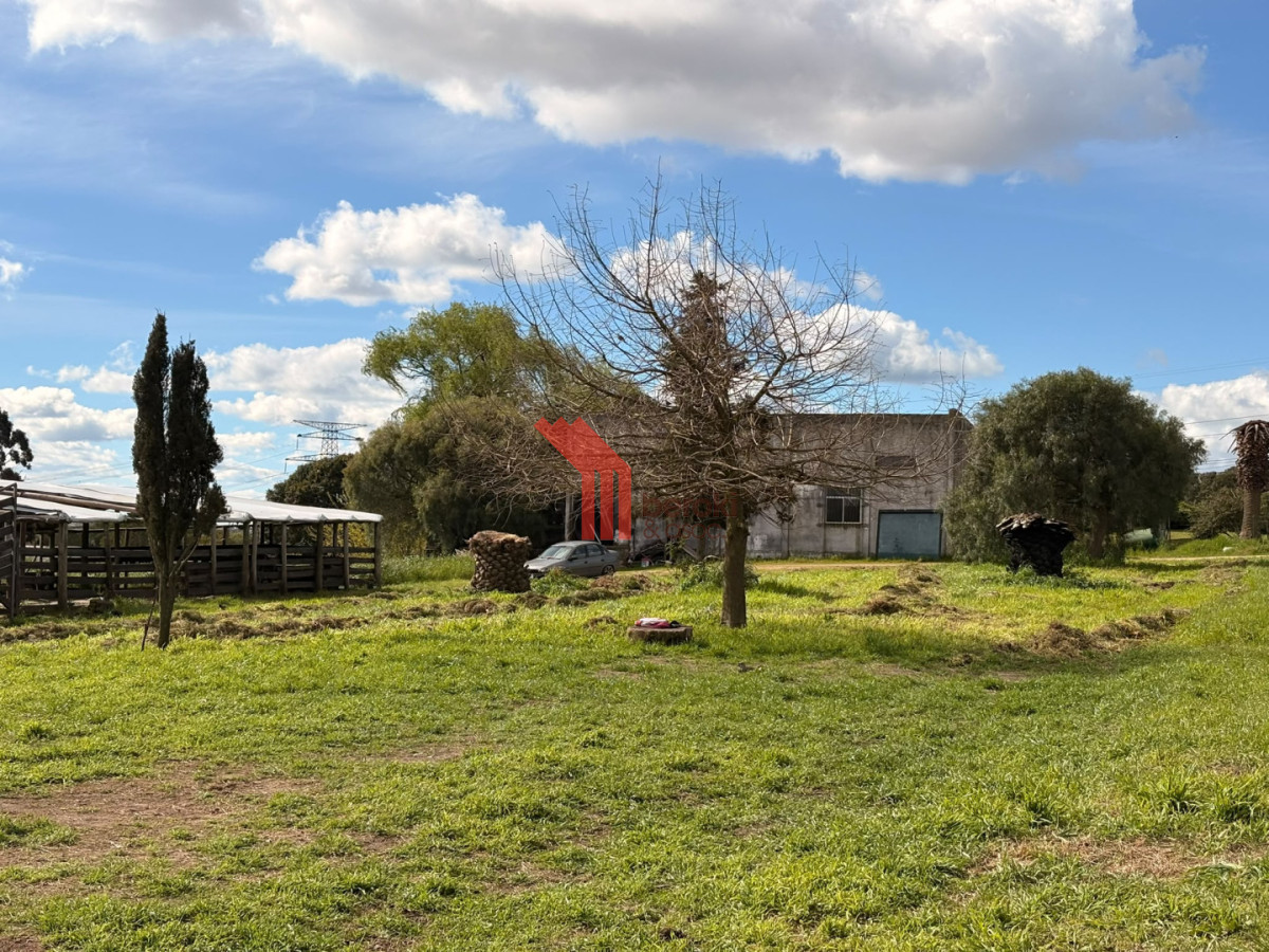 Chacra ID.143 - Venta campo 4 has, casa, galpón, agua, Melilla