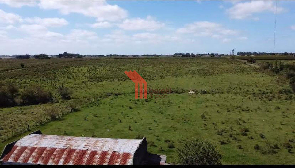 Chacra ID.192 - Venta de chacra productiva Excelente índice CONEAT 193 en Rutas 32 y 68