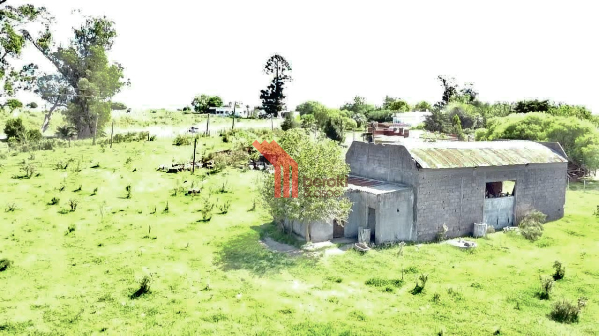 Chacra ID.192 - Venta de chacra productiva Excelente índice CONEAT 193 en Rutas 32 y 68