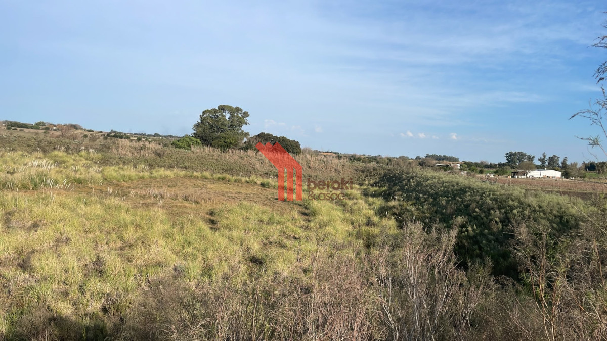 Campo Ref.263 - Venta campo 8 hectareas, Cerrillos