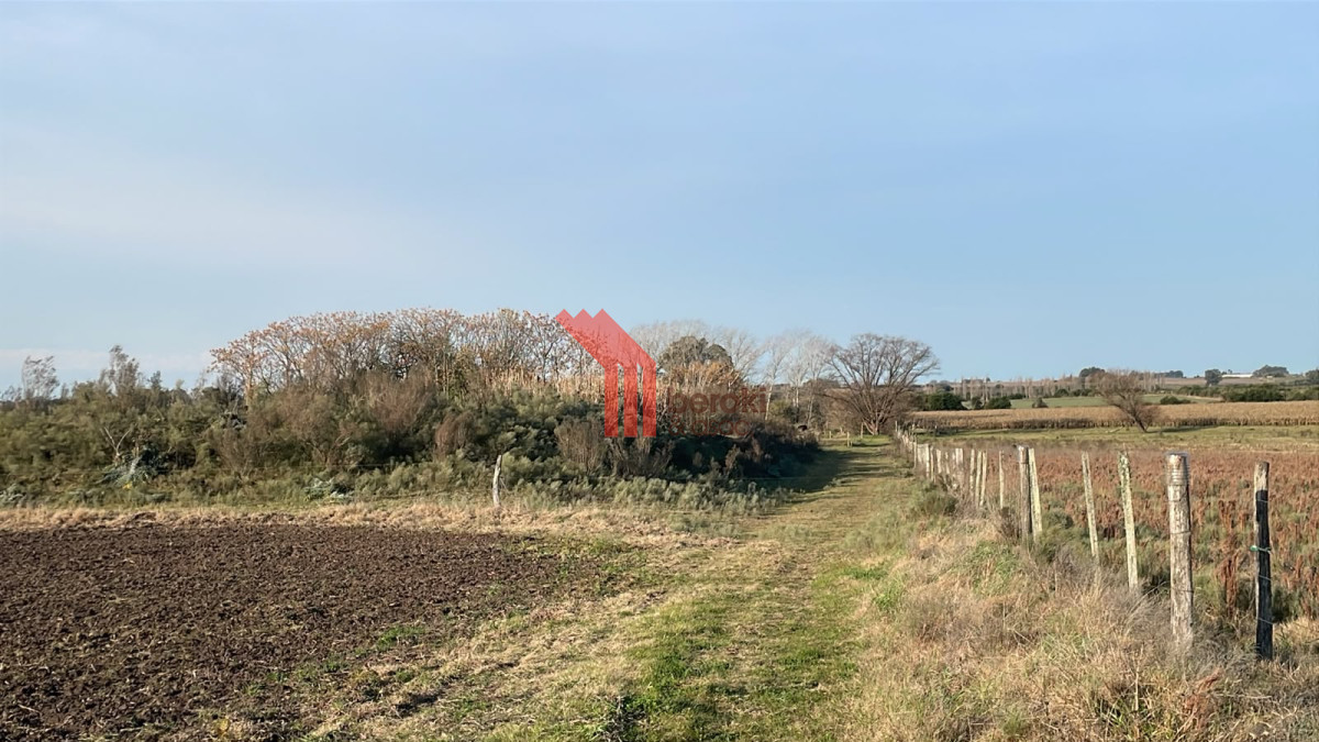 Campo Ref.263 - Venta campo 8 hectareas, Cerrillos